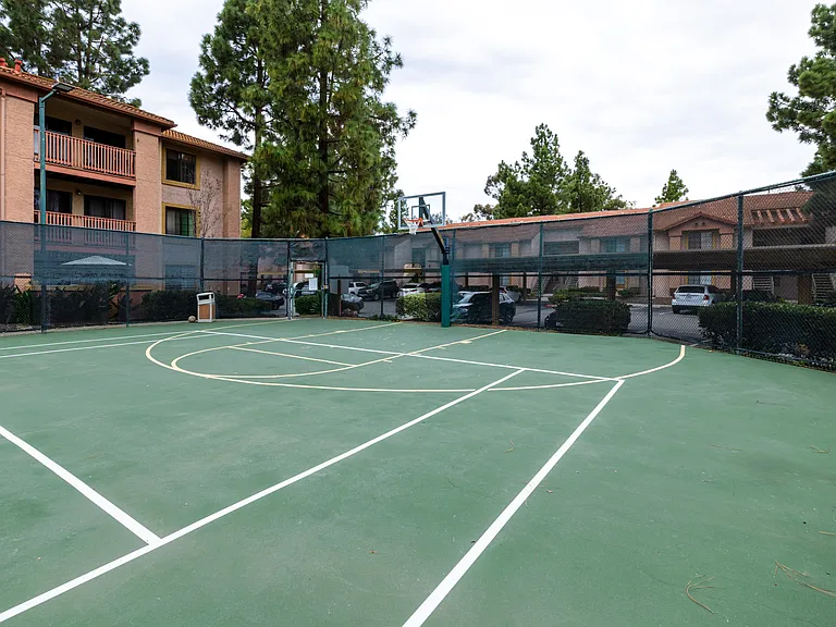 Alta Carmel Ct — Photo 18
