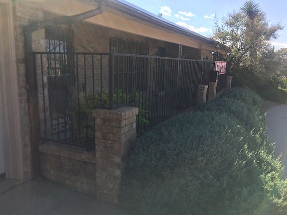 Green shrubs year eound