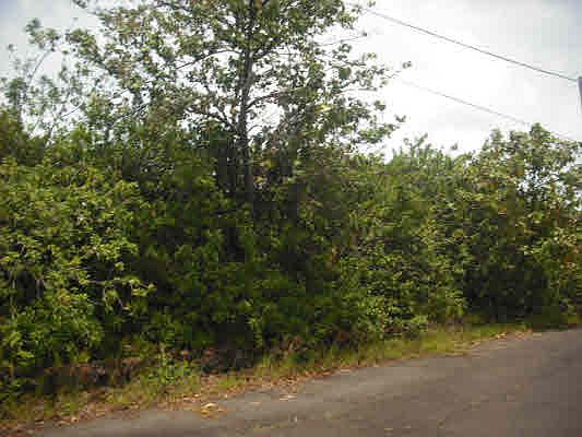 2nd image of Road 4 Kea #Io