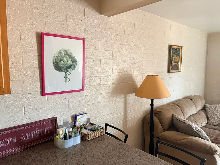 436 S Paseo Cerro #D — Photo 20