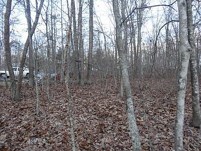 2nd image of Anderson Estates Rd