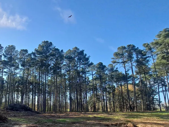 3.02 Laura Ave, Albertville, AL 35951