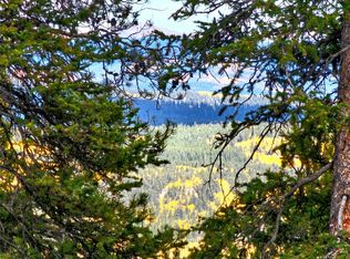 387 El Lobo Lane, Fairplay, CO 80440