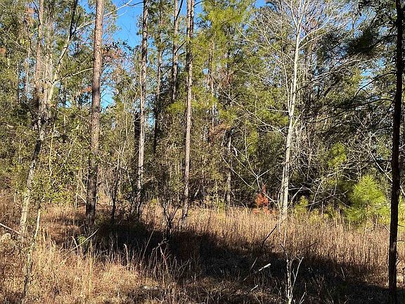 4th image of NE Blue Ridge Landing Ave