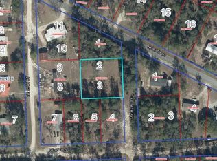LOT 2&3 NE 95th Ave, Bronson, FL 32621