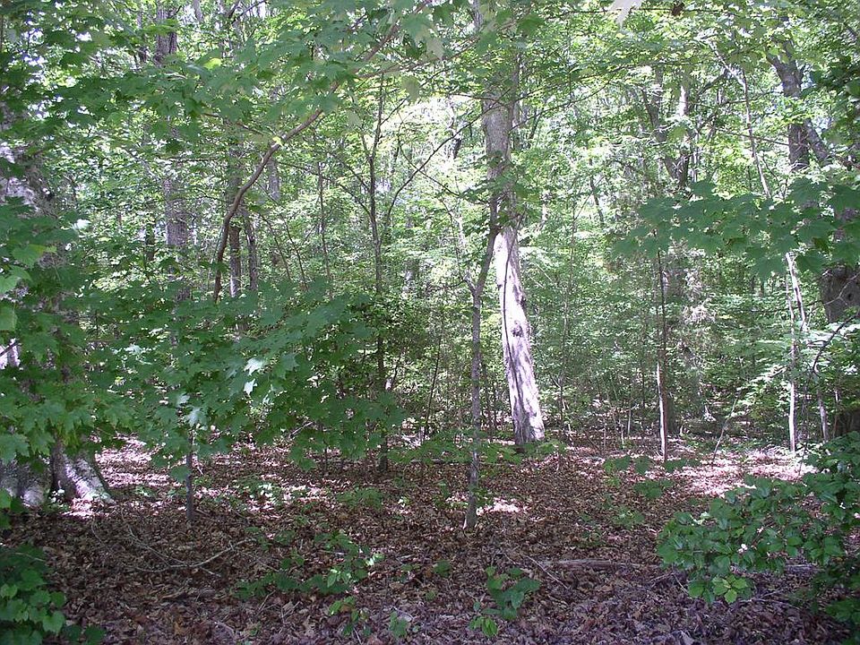 1st image of 74 Tanglewood Dr