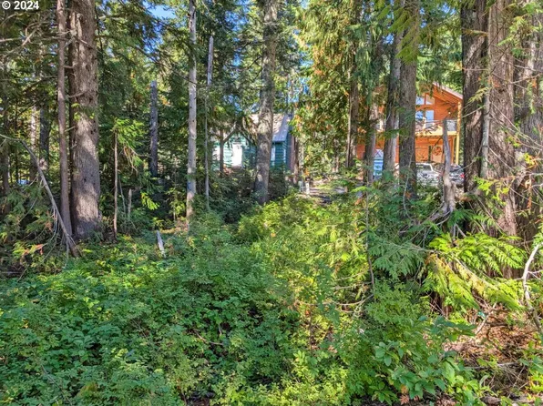 1 E Lige Ln #Tl-700, Government Camp, OR 97028