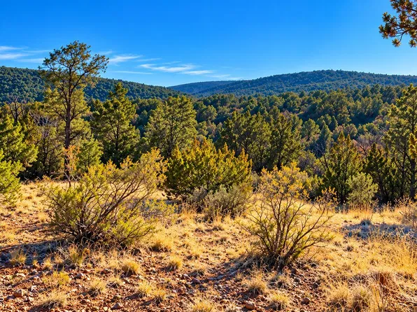 51804 N Cordero Rd, Seligman, AZ 86337