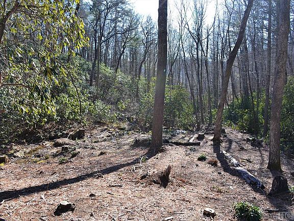 5th image of 138 Buckberry Dr