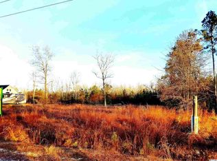 LOT 10 Pisgah Church Rd LOT 10, Galivants Ferry, SC 29544