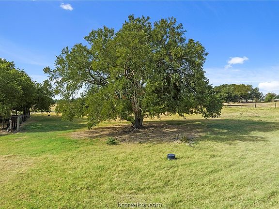 5th image of 45.70 Mol Acres #Fm-935