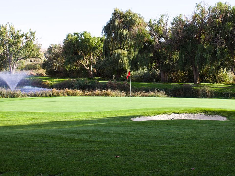 Direct patio view of par 3 hole @ Meadow Springs golf course.