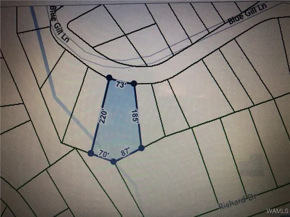 0 Bluegill Ln, Mc Calla, AL 35111