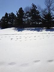 2nd image of 3598 131st Ln NW