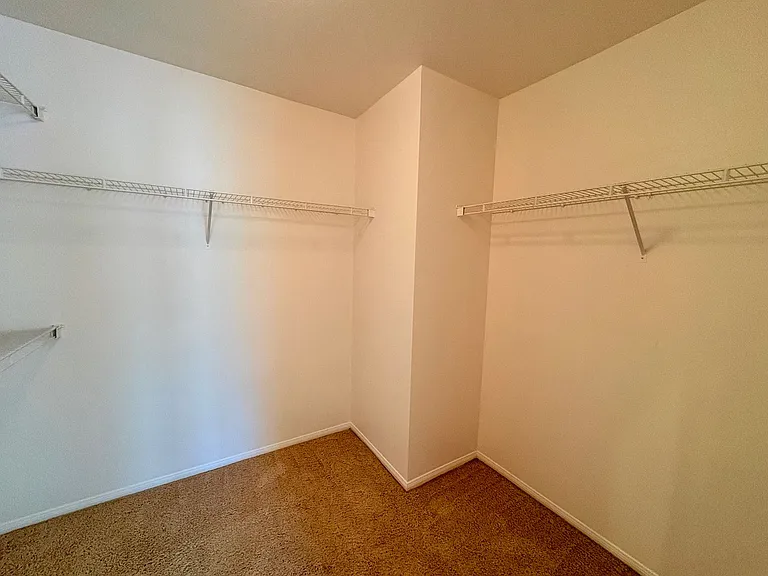 5216 Timber Branch Way — Photo 19