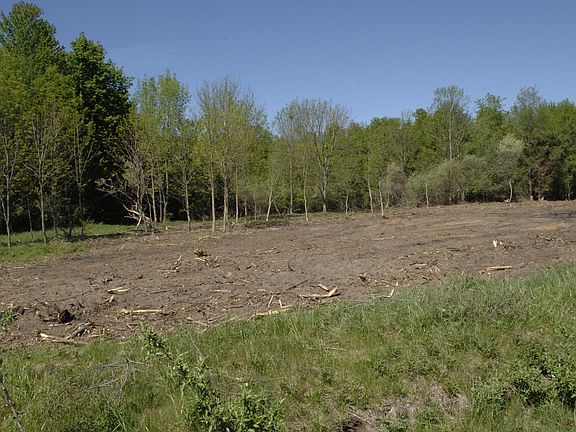 5th image of W Marshville Dam Rd