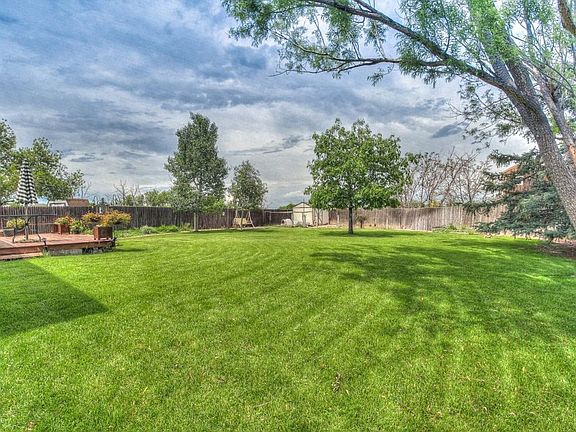 back yard