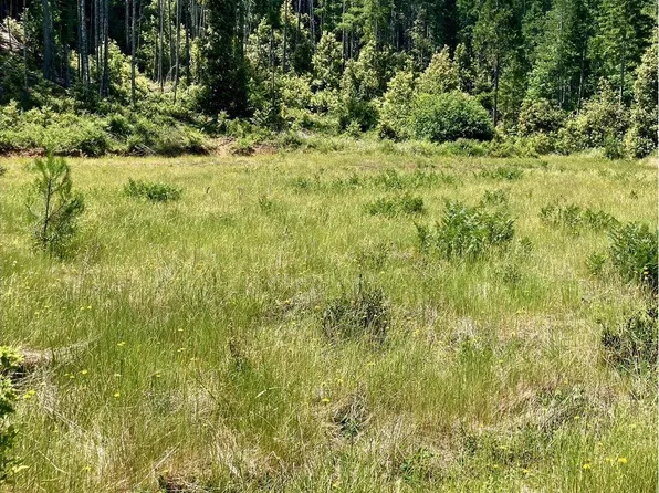 0 Redwood Hwy, O'Brien, OR 97534