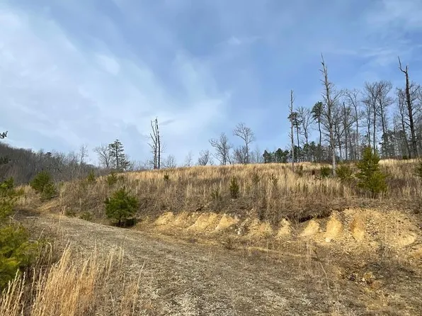 0 Blackbird Rd, Greenup, KY 41144