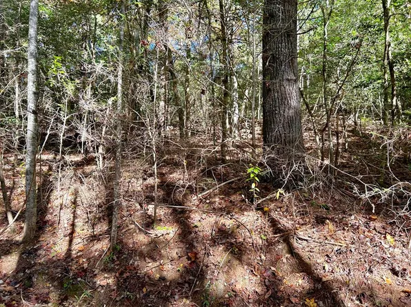 Lot 6 Beaverdam Loop Lot 6, Murphy, NC 28906