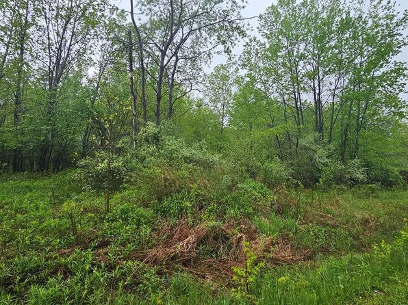 0 Buck Run Rd, Mansfield, PA 16933