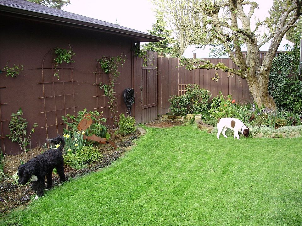 2 yo garage & shop Private back yard