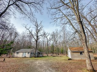 4547 W Hofer Rd, Irons, MI 49644