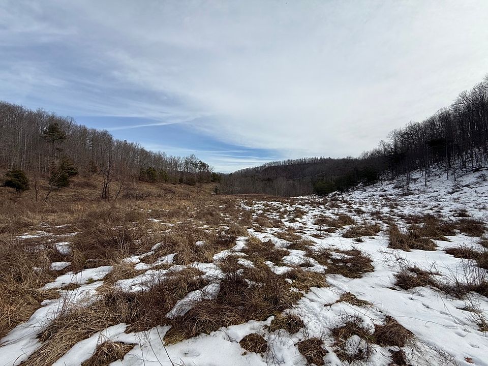 The largest of the open field areas in the western part of the property
