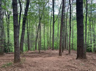 1 Overlook View #1, Walland, TN 37886