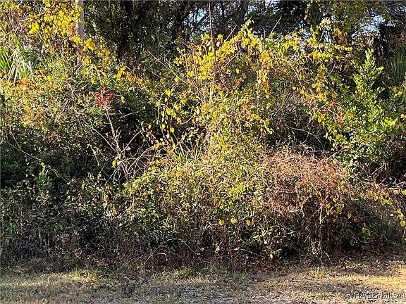 3rd image of 6724 N Bugbee Point