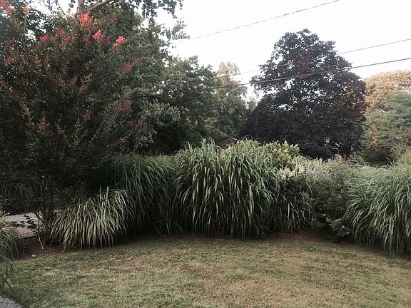 3rd image of 17 Parkway Dr