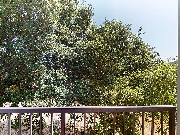 Highlands of Marin — Photo 43