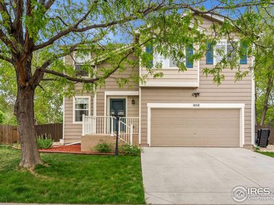 1658 Box Prairie Cir, Loveland, CO, 80538