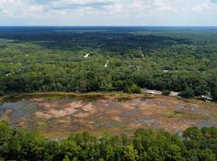 35028 Batesfield St, Webster, FL 33597