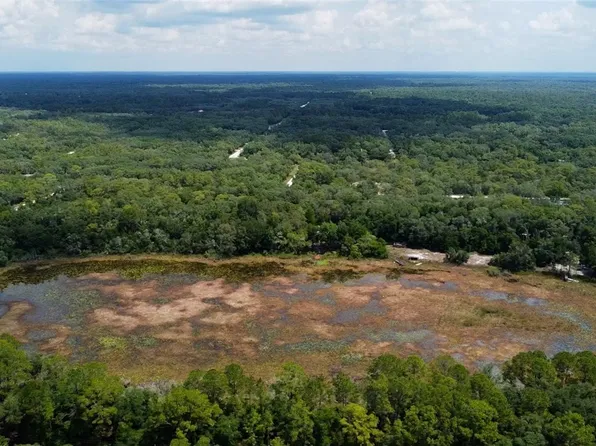 35028 Batesfield St, Webster, FL 33597