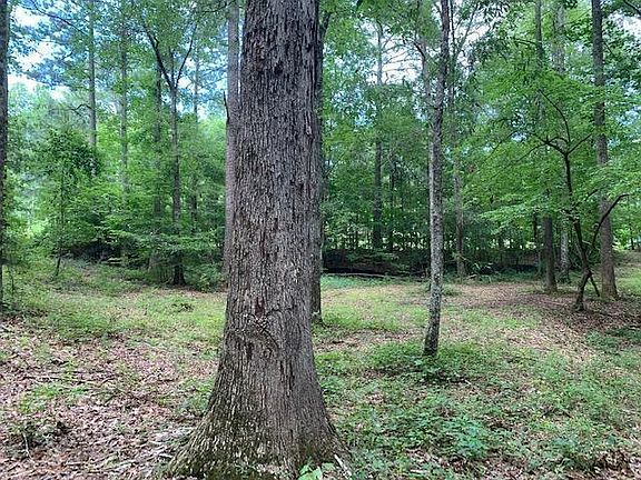 4th image of 135 Oak Forest Dr Lot 0