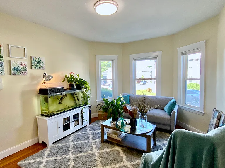 258 Belmont St #1 — Photo 4