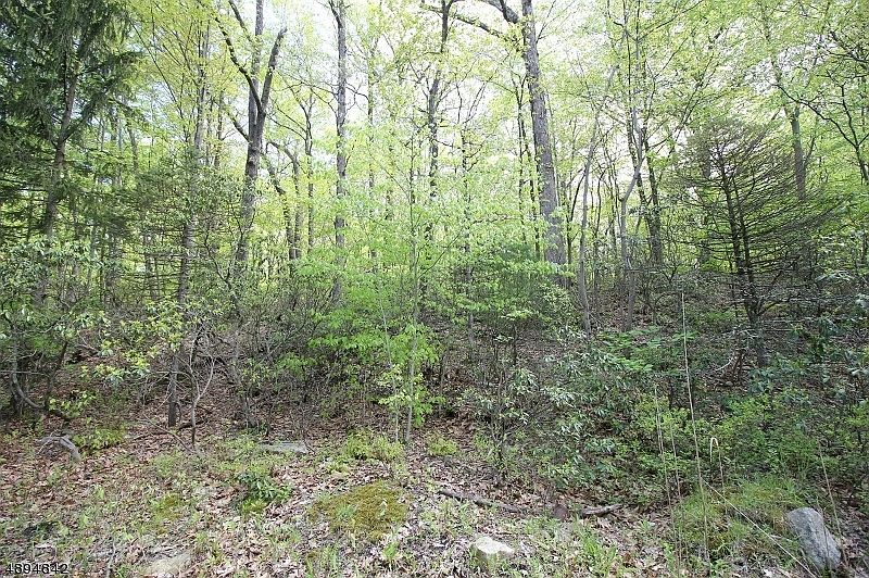 2nd image of 00 Tulip Ave