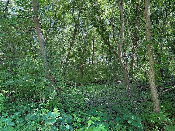 4th image of LOT 12 E Foxhollow Rd
