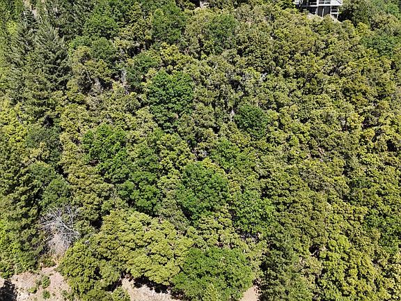 3rd image of 13305 Summit Ridge Dr