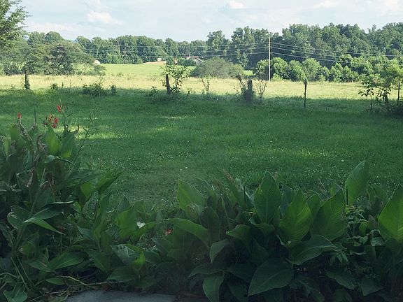 VIEW FROM PATIO OFF KITCHEN
