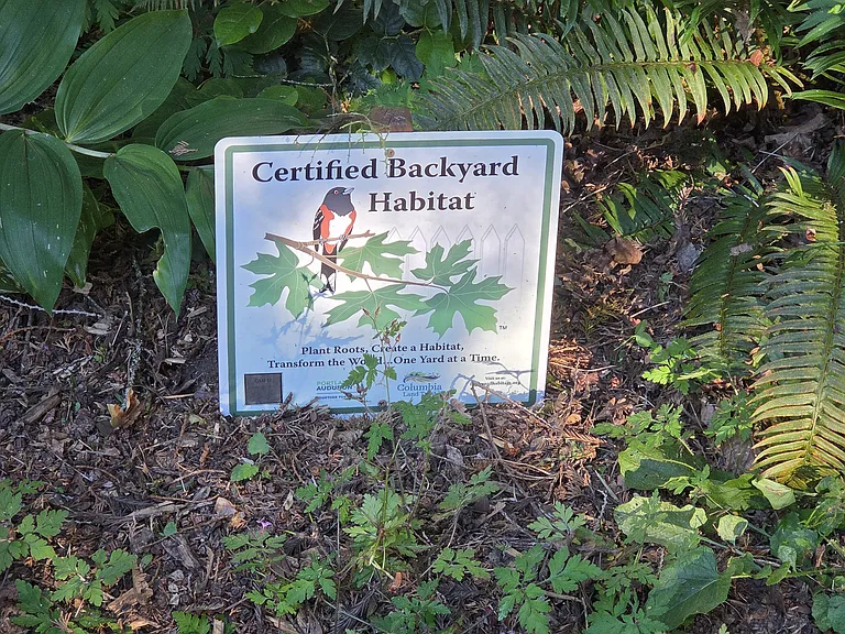 Backyard certified backyard habitat