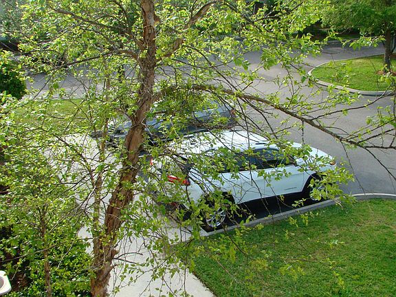 3rd image of 106 Jardin De Mer Pl