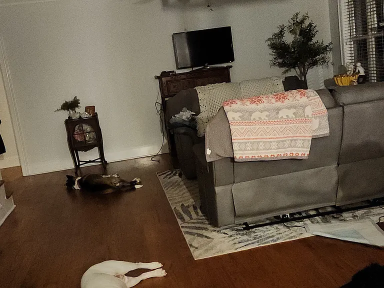 167 Preserve Trl — Photo 4