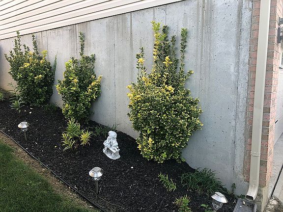 4th image of 2214 Antoinette Way
