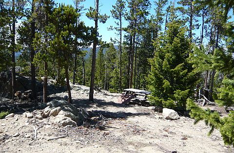 3rd image of 1020 Pine Cone Cir