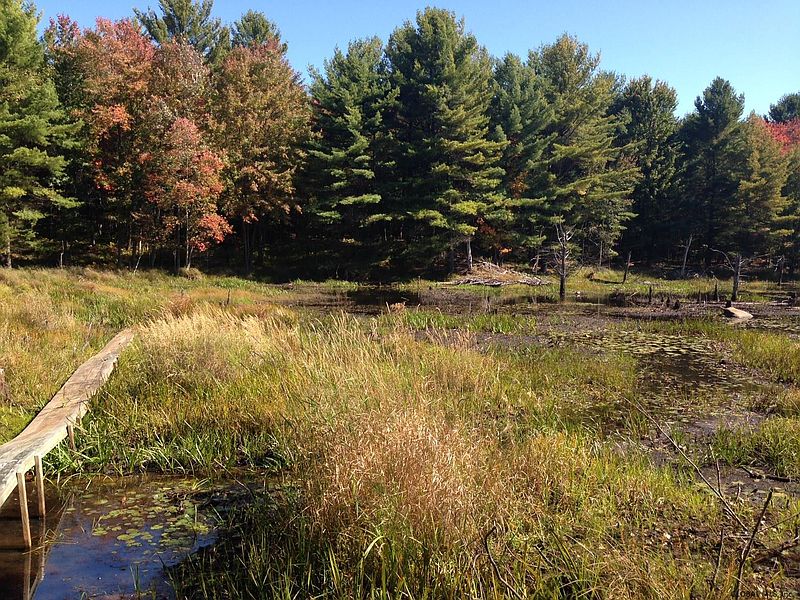 4th image of 302 NEW VERMONT Road