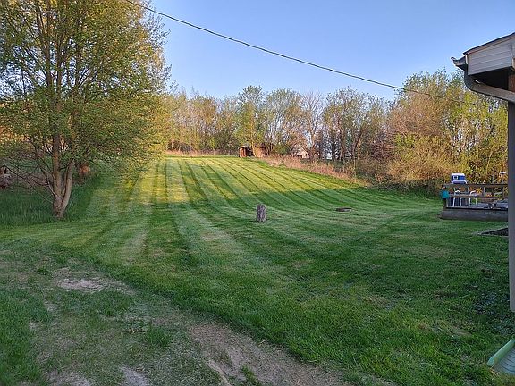 Current Back Yard