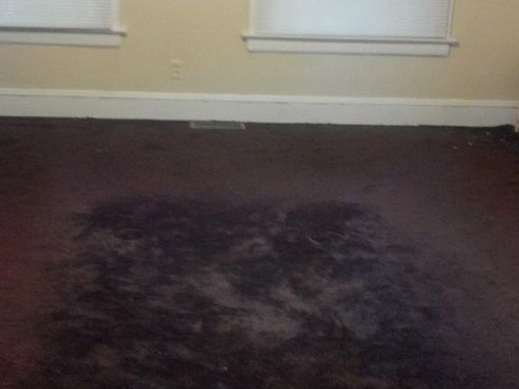 5th image of 10007 Rosehill Ave