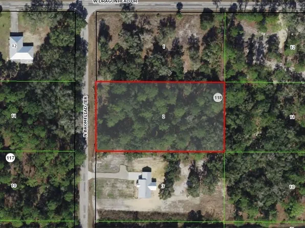 9153 N Bromeliad Ter, Crystal River, FL 34428